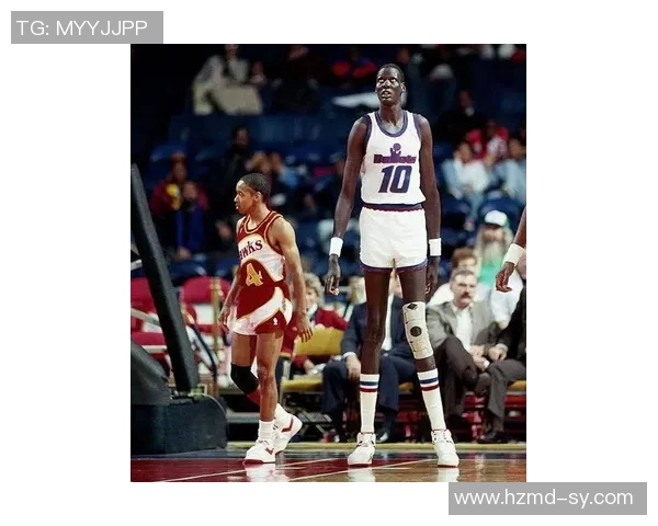 篮球明星韦伯的传奇人生与赛场辉煌成就全景回顾